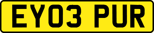 EY03PUR