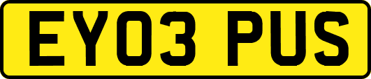 EY03PUS