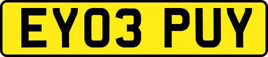EY03PUY