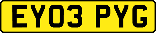 EY03PYG