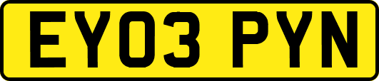 EY03PYN