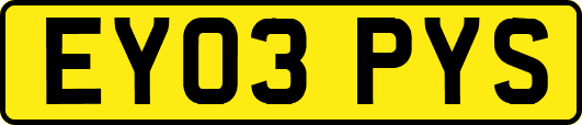 EY03PYS