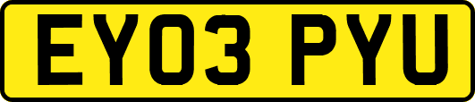 EY03PYU