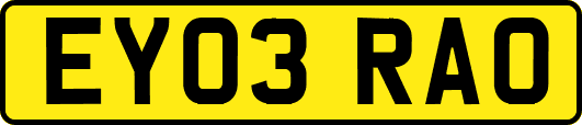 EY03RAO