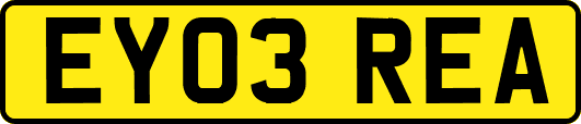 EY03REA