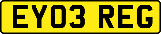 EY03REG