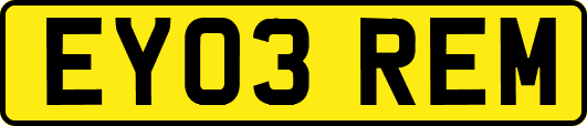 EY03REM