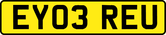 EY03REU