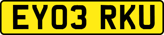 EY03RKU