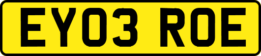 EY03ROE