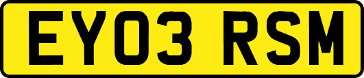 EY03RSM