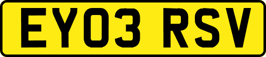 EY03RSV