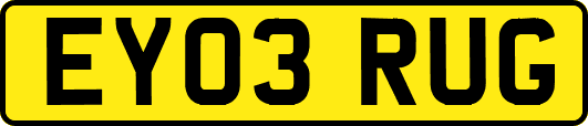 EY03RUG