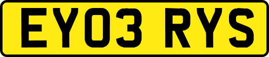 EY03RYS