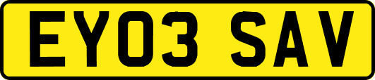 EY03SAV