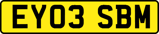 EY03SBM