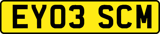 EY03SCM