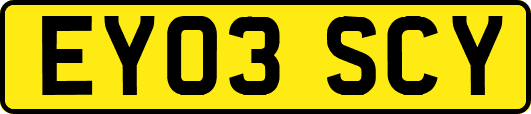 EY03SCY