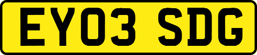 EY03SDG