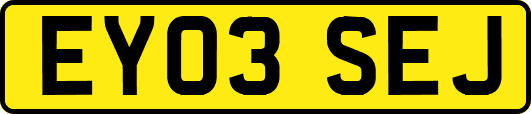 EY03SEJ