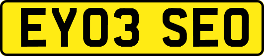 EY03SEO
