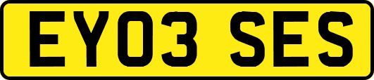 EY03SES