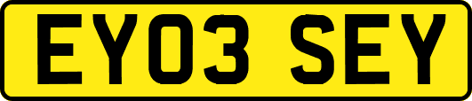 EY03SEY