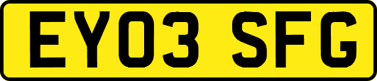 EY03SFG