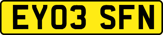 EY03SFN