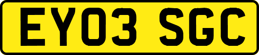 EY03SGC