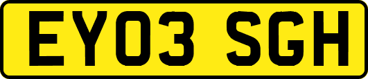 EY03SGH