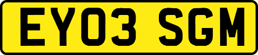 EY03SGM