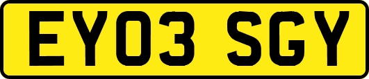 EY03SGY