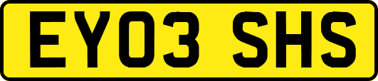 EY03SHS