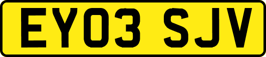 EY03SJV