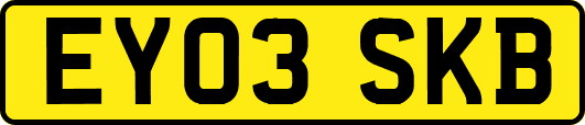 EY03SKB
