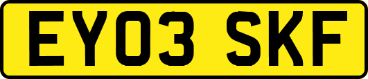 EY03SKF