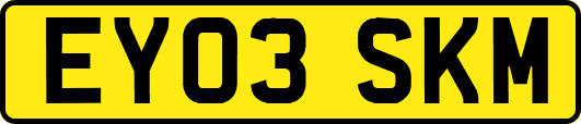 EY03SKM