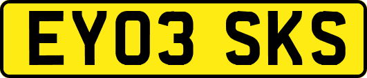EY03SKS