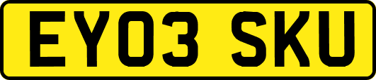 EY03SKU