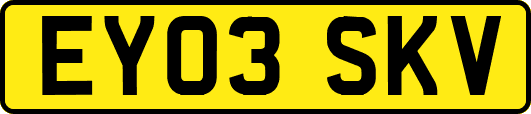 EY03SKV