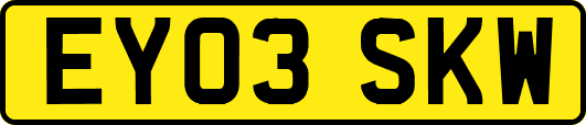 EY03SKW