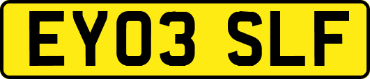 EY03SLF