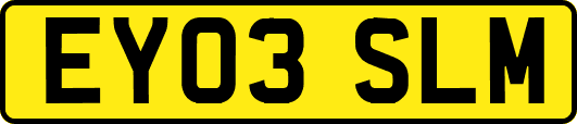 EY03SLM