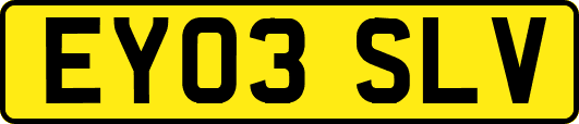 EY03SLV