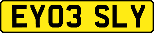 EY03SLY