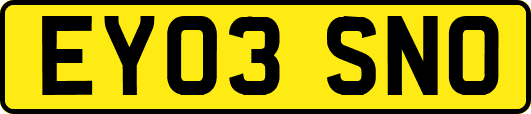 EY03SNO