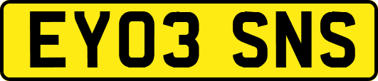 EY03SNS