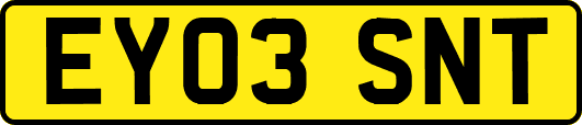 EY03SNT