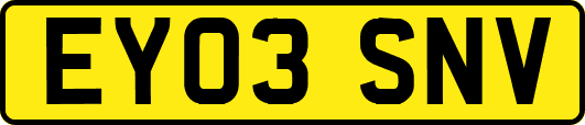 EY03SNV